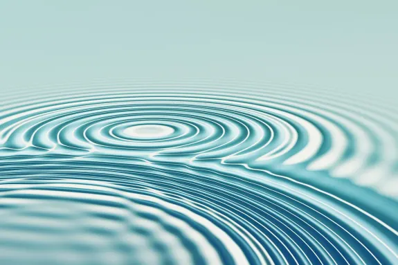 BetBeard Kazino Atbalsts